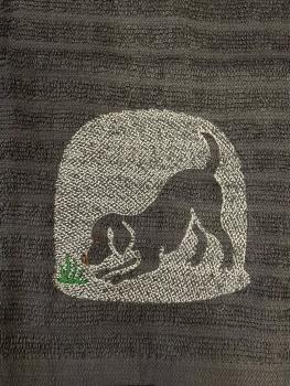 ND_Hund_Katze1
