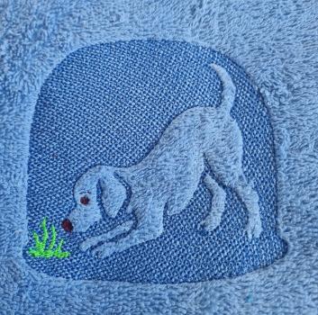 ND_Hund_Katze1