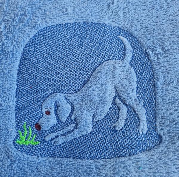 ND_Hund_Katze1