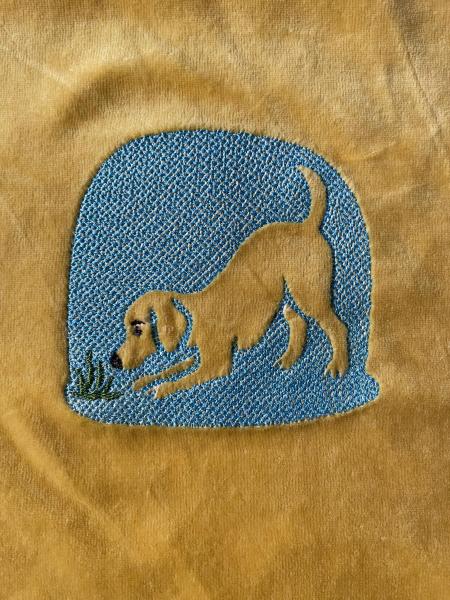 ND_Hund_Katze1